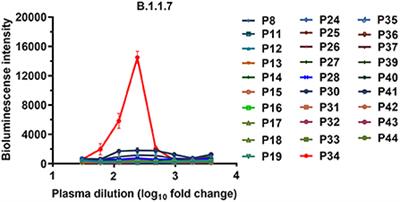 Neutralizing antibodies from the rare convalescent donors elicited antibody-dependent enhancement of SARS-CoV-2 variants infection